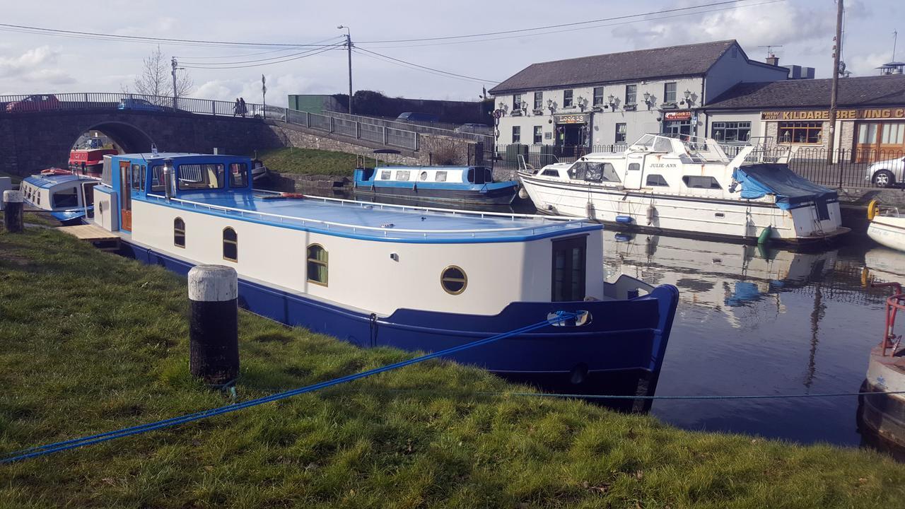 Roisin Dubh Houseboat Hotel Sallins Екстериор снимка